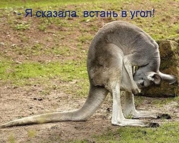 Из ВКонтактика с приветиком  - image (2).jpg