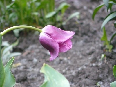 а этого нет уже