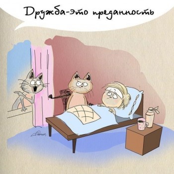 Добрые картинки, милые статусы - 1.jpg