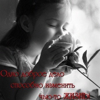 Добрые картинки, милые статусы - 67v7b1kHWFE.jpg