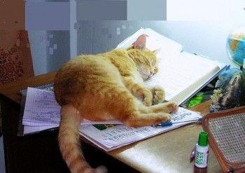 Добрые картинки, милые статусы - D9dXxJh0iYo.jpg