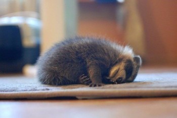 А у вас сейчас какое настроение? - r2vB4qmD4a0.jpg