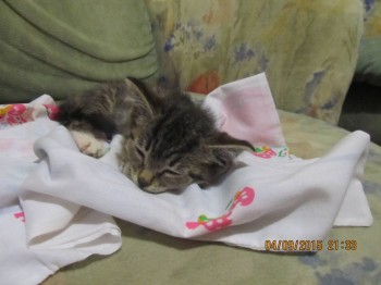 вот такой ее принесли домой