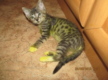 вот такая сейчас в процессе лечения