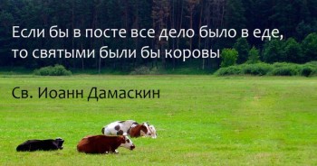 Из ВКонтактика с приветиком  - l521yfYj_Zc.jpg