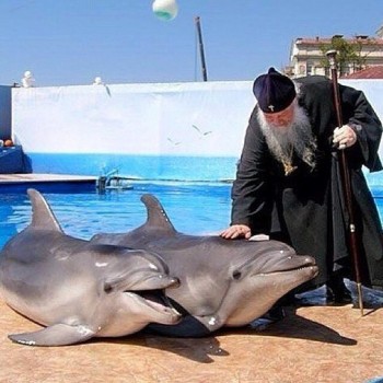 Православный Цветник - qls1iTTNyZk.jpg