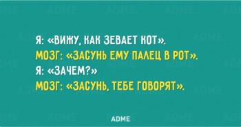 Из ВКонтактика с приветиком  - 2584410-R3L8T8D-650-a-03.jpg