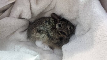 Чем сегодня занимались- 2 - IMG_20150921_180606.jpg