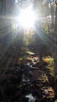 Рассветы... Закаты... - IMG_20151012_161536.jpg