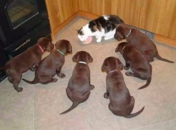 Добрые картинки, милые статусы - 2RzSDA9AOeo.jpg