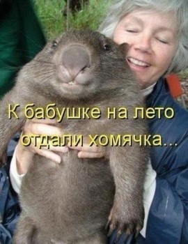 Добрые картинки, милые статусы - XfDwbPmanU0.jpg