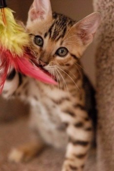 Аватарки. Наши интернет-лица-2 - 2015931231543.jpg