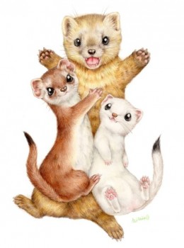 А у вас сейчас какое настроение? - XAADvI4KZKU.jpg