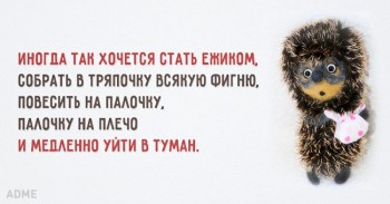 Из ВКонтактика с приветиком  - 18448660-R3L8T8D-650-333333.jpg