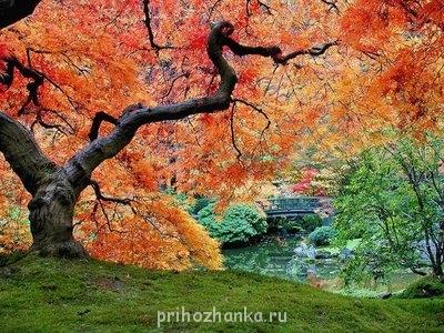 Красавица-Земля  - 45972254_s0003.jpg