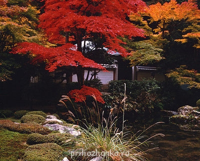 Красавица-Земля  - 32185411_nanzendzi_momidzi.jpg