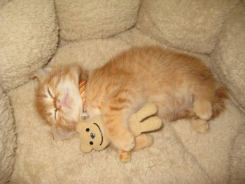 А у вас сейчас какое настроение? - UApa0wr.jpg