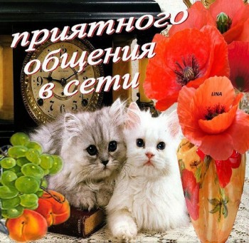 Здравствуйте,давайте знакомиться-2 - Цук-1.jpg