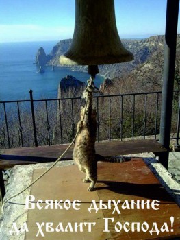 Православный Цветник - R-dOhx-P3pI.jpg