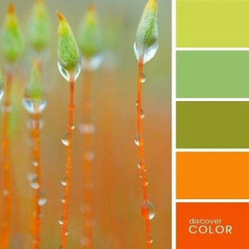 копилка полезных советов - image (36).jpg