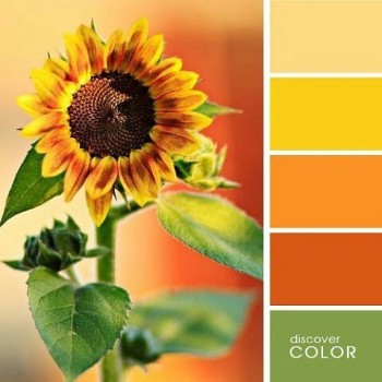 копилка полезных советов - image (40).jpg