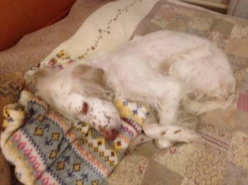 ВСЁ обо ВСЁМ или наши флудилки - 2 - image.jpg