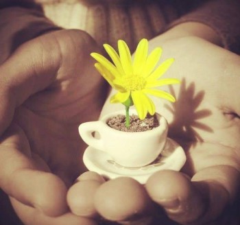 О супружестве - HsI2q-DKIWQ.jpg