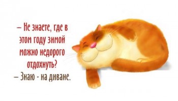 Из ВКонтактика с приветиком  - image.jpg