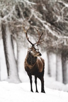 Аватарки. Наши интернет-лица-2 - bYa0nllvl3w.jpg