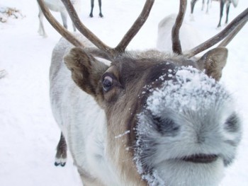 Аватарки. Наши интернет-лица-2 - DBGfAYu_zAc.jpg