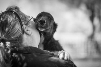 А у вас сейчас какое настроение? - 10458900793_7535497d13_b.jpg