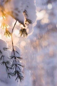 Зимняя сказка - rwvyzgayPec.jpg