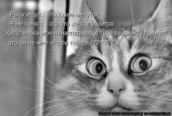 Из ВКонтактика с приветиком  - 493ab7ae557d0ece970b23109b9c02b2.jpg