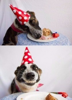 Из ВКонтактика с приветиком  - радость.jpg