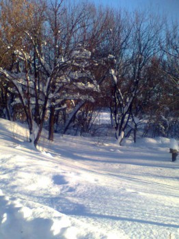 Поговорим о погоде - Фото0087.jpg