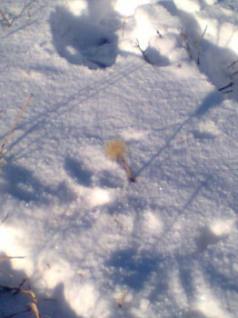 Поговорим о погоде - Фото0190.jpg