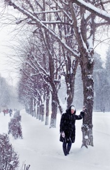 Зимняя сказка - IMG_9058.jpg