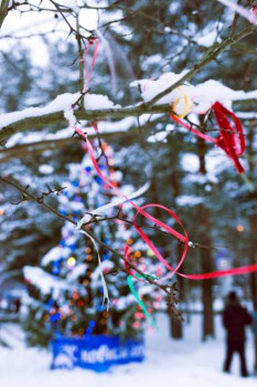 Зимняя сказка - IMG_9179.jpg