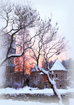 Зимняя сказка - IMG_9176.jpg