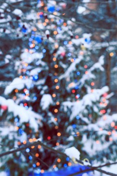 Зимняя сказка - IMG_9188.jpg