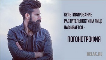 Жизнь с бородой =  - 1427629736_11_novyy-razmer.jpg