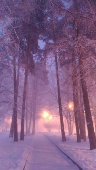 Зимняя сказка - P_20160122_173009_NT.jpg