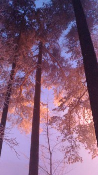 Зимняя сказка - P_20160122_173032_NT.jpg