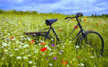 А у вас сейчас какое настроение? - landscape-fields-wallpaper-retina-hd-download-17.jpg