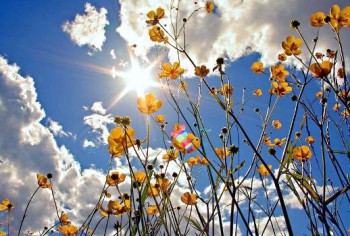 А у вас сейчас какое настроение? - Evy4a58GFiU.jpg