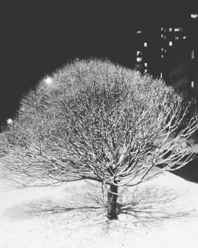 Зимняя сказка - IMG_20160203_233843.jpg