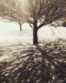 Зимняя сказка - IMG_20160203_233030.jpg