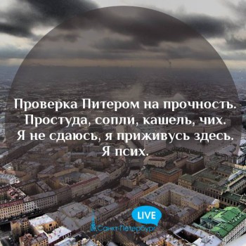 Санкт-Петербург. Афиша, путеводитель, наши рассказы - 12670088_1874402042786116_3561134035582937199_n.jpg