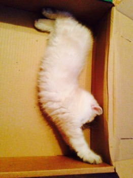 Крутилась крутилась..