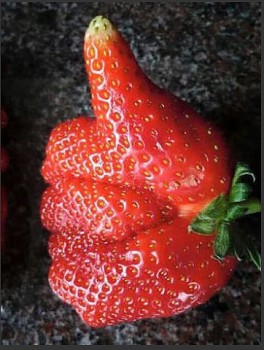 Прикольные картинки , фото , открытки. - getImage.jpeg